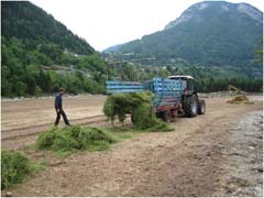 Distribuzione dell’erba verde con rimorchio portafieno. L’erba va poi sparpagliata manualmente (Foto Luigi Gottardo – Servizio Foresta e fauna PAT).